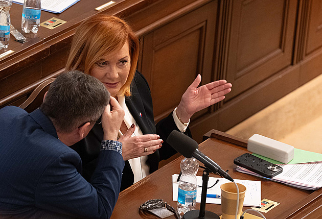 Sněmovna opět řeší zákon o regulaci cen paliv. Paskvil, vmetl Haas Schillerové