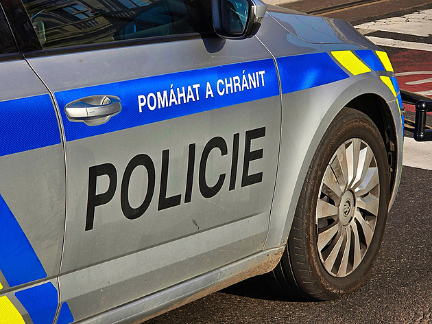 Na Domažlicku se topil čtyřletý chlapec. Z vody ho vytáhla jeho matka