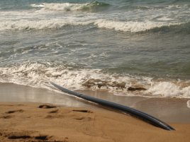 Pod mořem se rozjíždí závod o petabitový internet. Evropa ho chce do roku 2029