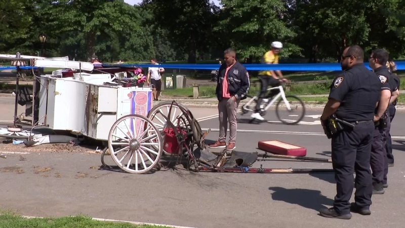 Splašený kůň v Central Parku připravil o život 18letého mladíka, další lidé utrpěli zranění